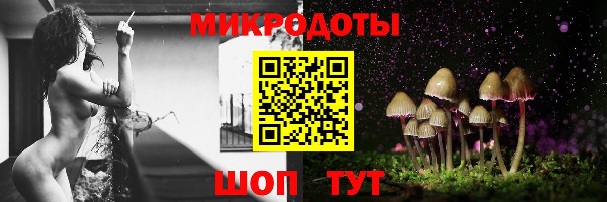 как найти наркотики  Псилоцибиновые грибы GOLDEN TEACHER  Вход с VPN  Коряжма 