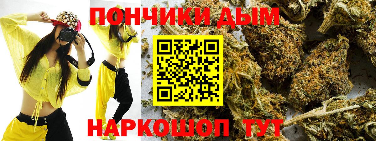 Коряжма  Марихуана Ganja  Бошки Шишки тримм  Вход с VPN  Конопля VHQ 